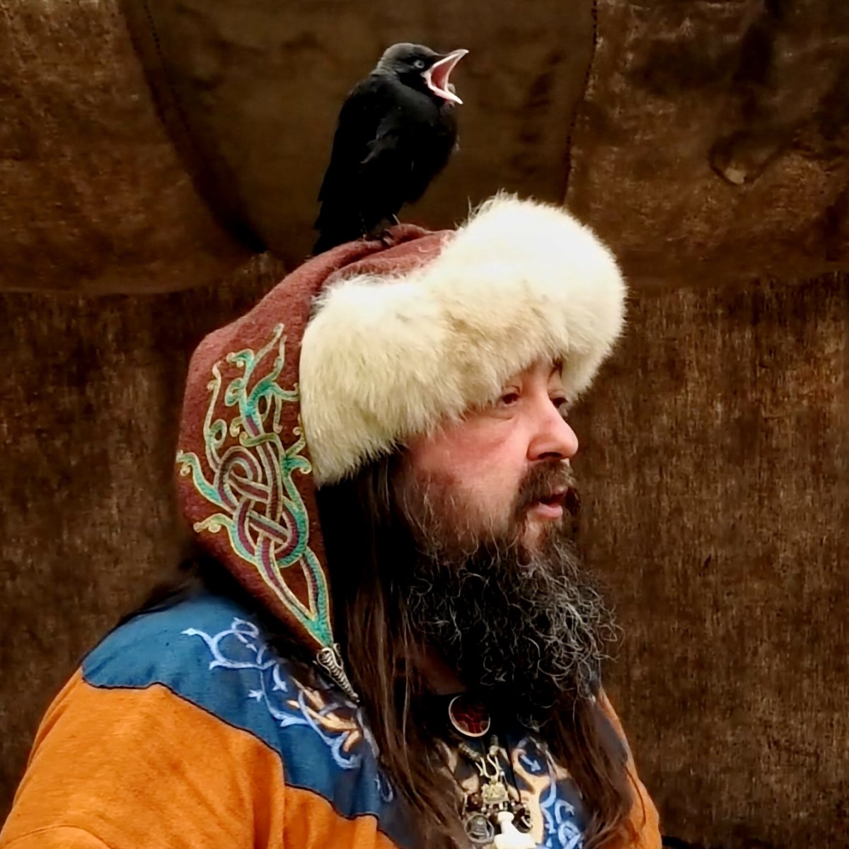 Loki vs Thor – Conte Viking & corbeau sauvage sur la tête