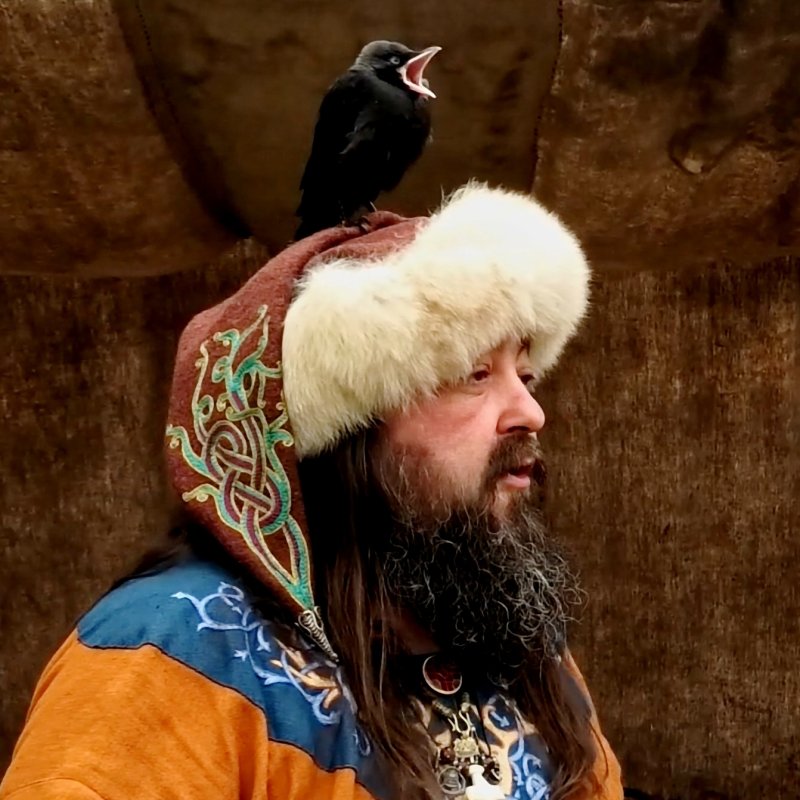 Loki vs Thor – Conte Viking & corbeau sauvage sur la tête